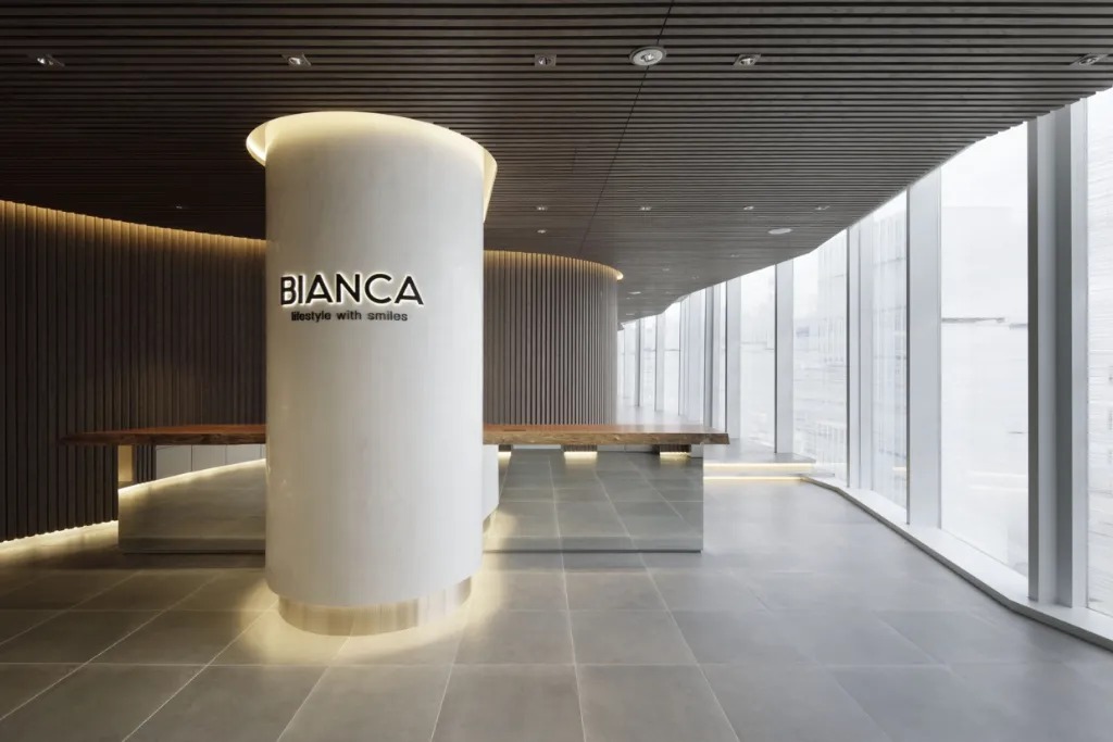 Plastic Surgery in Japan: Discover World-Class Aesthetics and Precision Care
