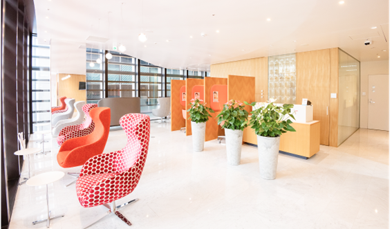 Where Can I Book a Consultation for Japanese Breast Augmentation? Your Complete Guide