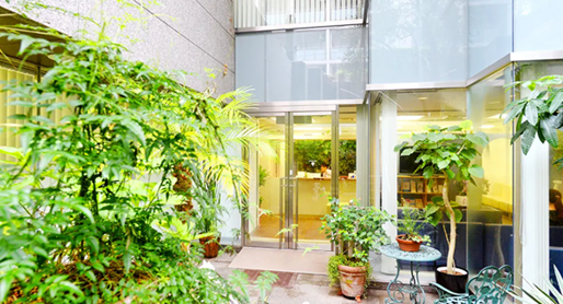 Non-Surgical Treatments in Tokyo：Choosing an English-Speaking Clinic