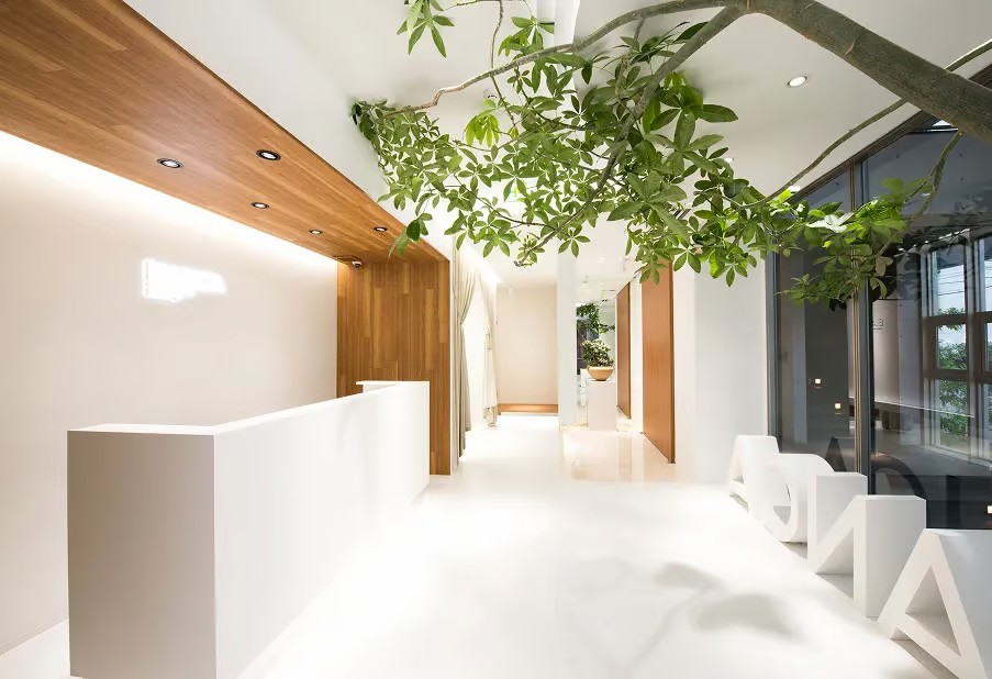 BIANCA CLINIC reception and waiting area with modern interior design