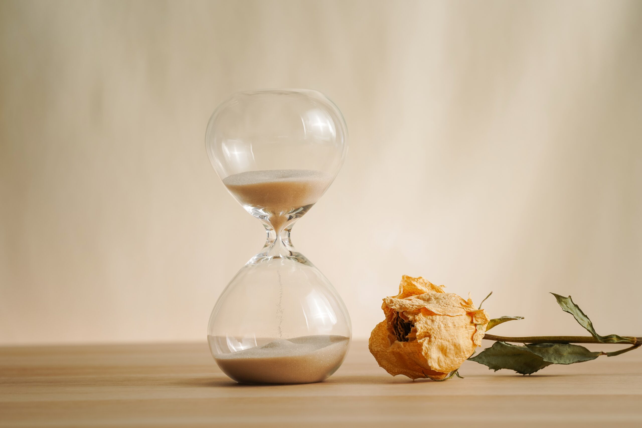 A tranquil space with an hourglass and a single flower.