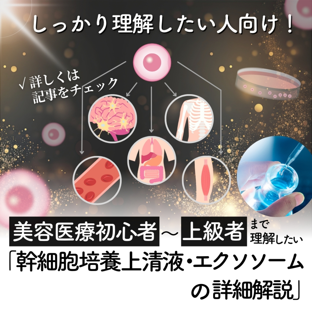 【医師監修】エクソソーム・幹細胞培養の仕組みって何？同じ幹細胞培養上清液でも、「何由来」かによって成分が違う？初心者でもわかる基礎知識解説