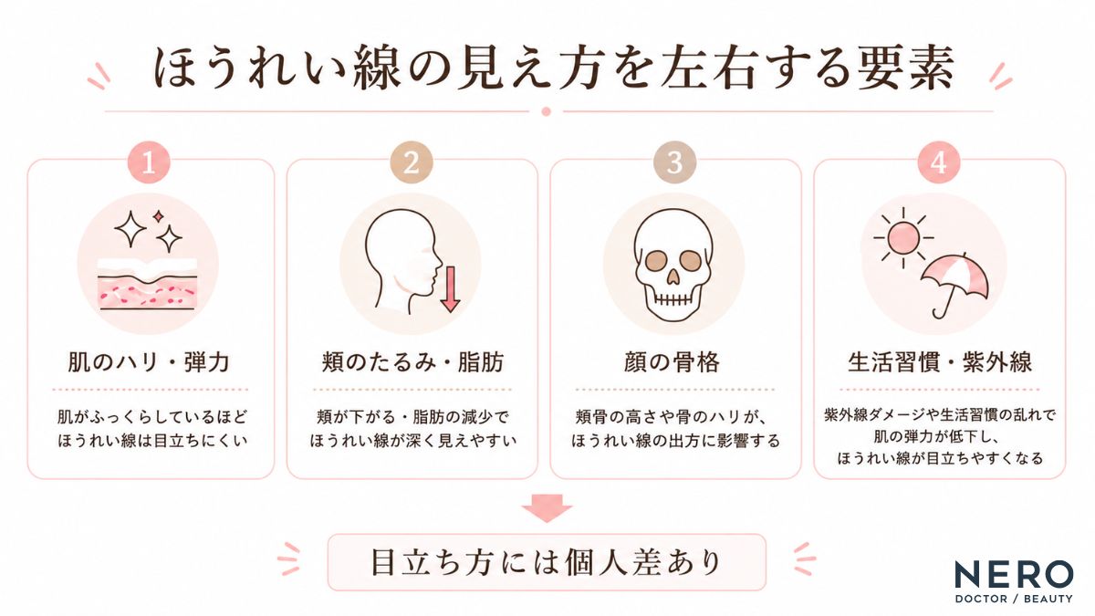 ほうれい線の目立ち方に関係する要素をまとめた図