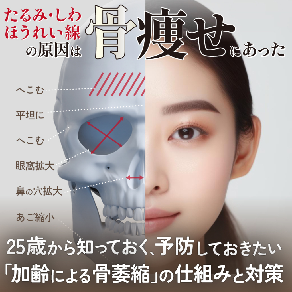 25歳から知っておく、予防しておきたい「加齢による骨萎縮」の仕組みと対策。顔のたるみやしわ・ほうれい線の原因は『骨痩せ』にあった