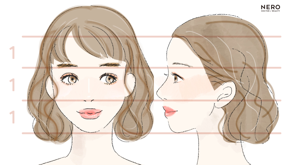 横顔美人目指さない？オージーカーブやEライン、その他ポイントを大解説！