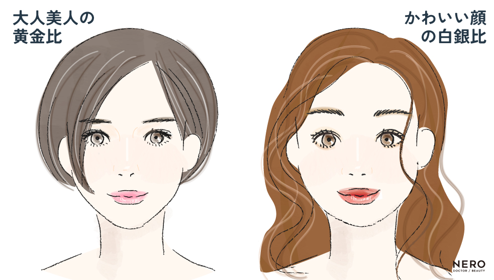 横顔美人目指さない？オージーカーブやEライン、その他ポイントを大解説！