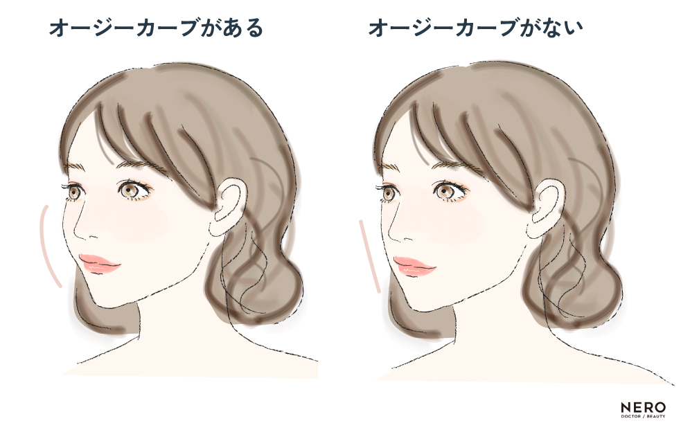 横顔美人目指さない？オージーカーブやEライン、その他ポイントを大解説！