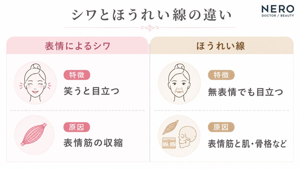 表情によるシワとほうれい線の違いを比較した図