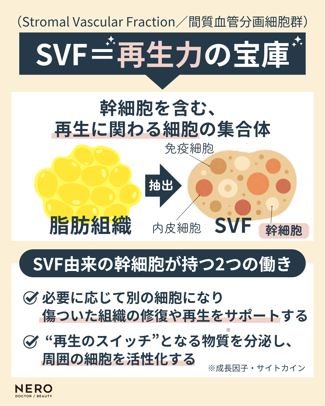 ナノステムで皮膚を再稼働できる?!次世代再生医療の選択肢をあなたへ