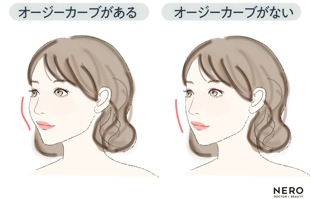 オージーカーブ　オージーカーブって何？Eラインとの違いと最新横顔バランス論｜NERO DOCTOR / BEAUTY（美容医療）