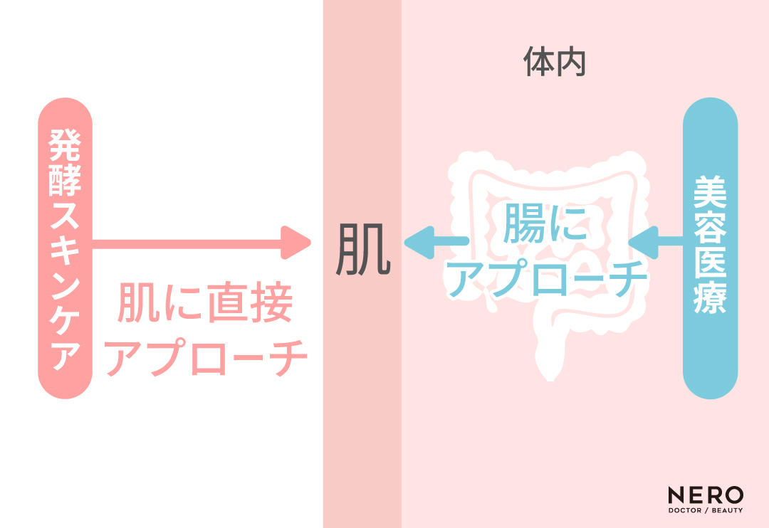 発酵スキンケア　2025年、美容医療で腸活革命！発酵×美容の新常｜NERO DOCTOR / BEAUTY（美容医療）