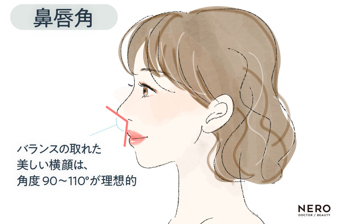 鼻唇角 オージーカーブって何?Eラインとの違いと最新横顔バランス論|NERO DOCTOR / BEAUTY(美容医療)