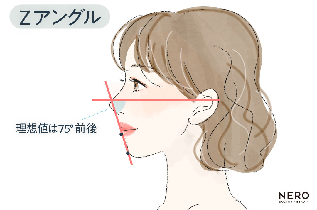Zアングル オージーカーブって何?Eラインとの違いと最新横顔バランス論|NERO DOCTOR / BEAUTY(美容医療)