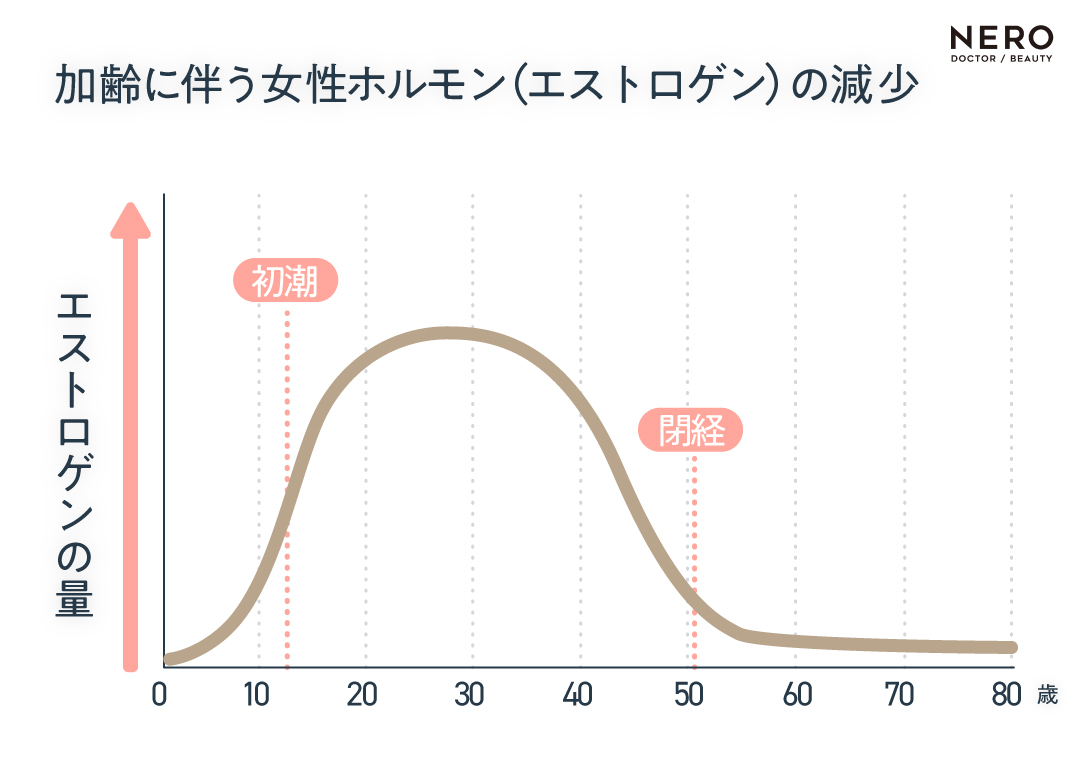 エストロゲンの減少　 40代で始める準備美容｜高齢者になる前にやっておくべきことは？｜NERO DOCTOR / BEAUTY（美容医療）