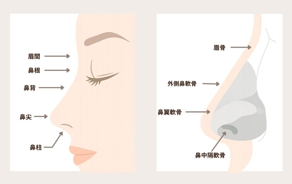 鼻先が丸くてコンプレックス…“ちょっと整えるだけ”でここまで変わる自然な印象｜東京・渋谷区LIVIN CLINIC監修