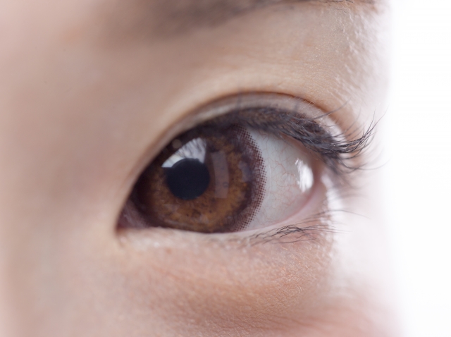 目元アップ　タレ目形成とは？施術・ダウンタイム・リスクを徹底解説｜NERO DOCTOR / BEAUTY（美容医療）