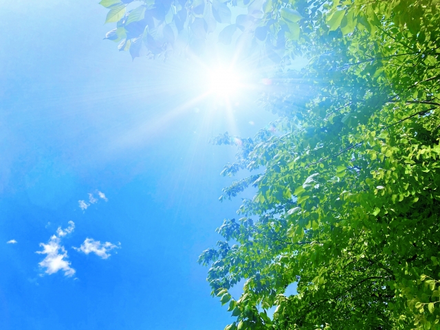 青空 顔のたるみひどい……セルフケアと美容医療の境界線|NERO DOCTOR / BEAUTY(美容医療)