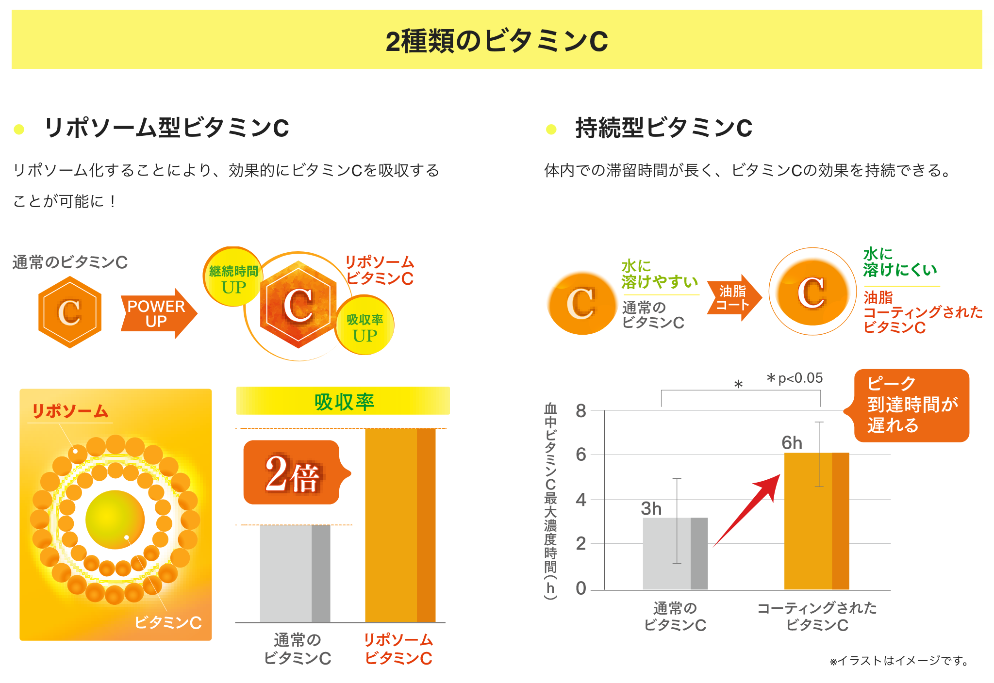 JC completeCという選択―医師自身が飲み続けたいと思える総合ビタミンCサプリメントの効果とは?|自由が丘クリニック 古山 恵理先生監修