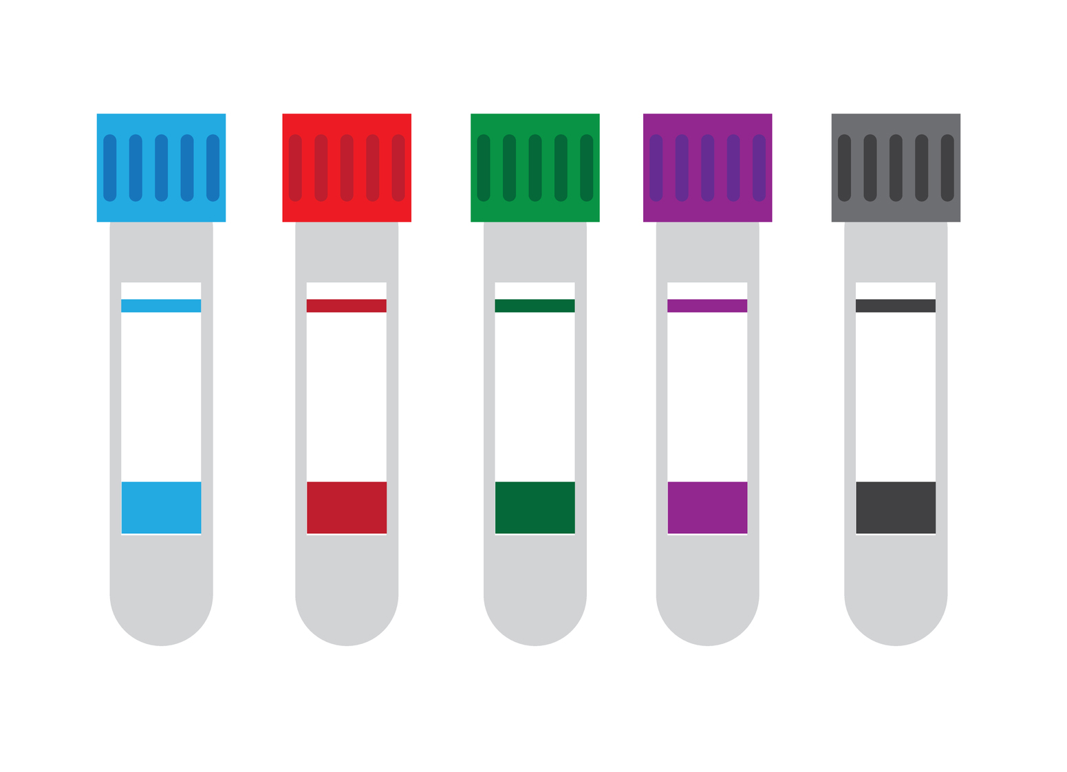 スピッツ　【体は「食べたもの」でできている！】結論、「何を食べたらきれいになれる？」朝昼晩のおすすめごはんラインナップ｜NERO DOCTOR / BEAUTY（美容医療）