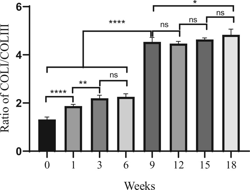 ベビーコラーゲン再評価。注入剤としてのベビーコラーゲン―ECM*（細胞外マトリックス）研究の進展と臨床応用｜NERO DOCTOR / BEAUTY（美容医療）