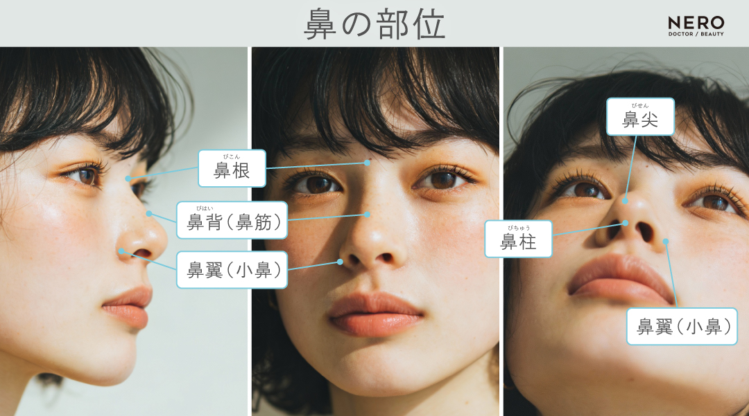 鼻筋や鼻先を整えるだけじゃ足りない―鼻の穴の“見え方”をデザインする3つのアプローチとは｜NERO DOCTOR/BEAUTY（美容医療）