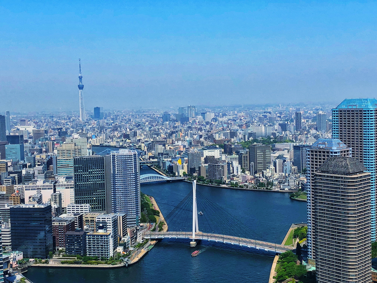 東京の隅田川周辺の都市景観　東南アジアの美容医療市場が急成長する理由とは？世界が注目する“医療ツーリズム”の成功｜NERO DOCTOR / BEAUTY（美容医療）