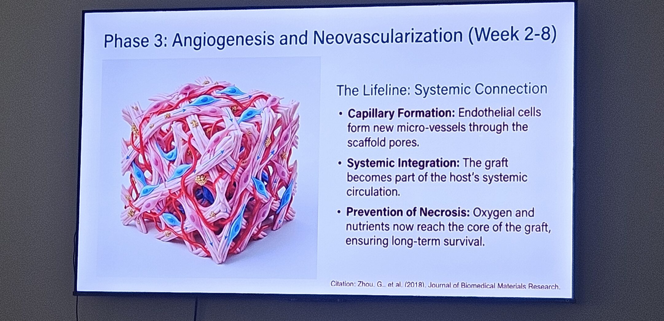 【NERO潜入レポ】 医師が注目する“ECM製剤コラーゲンブースター”── いま美容医療で何が変わっているのか〈ブナジュ（BNAJU）の正体〉