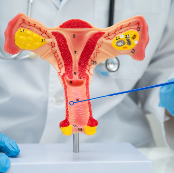 フェムテック拡大で浮上する“診断なき評価”のリスク —— 産婦人科専門医が語る「膣圧」とケアの境界