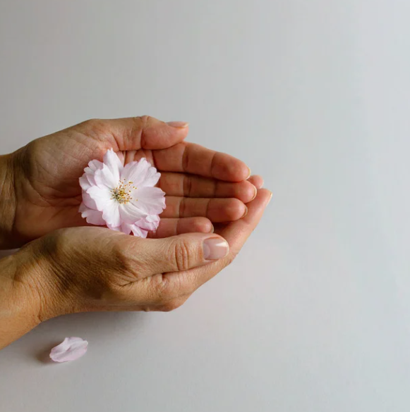 フェムテック拡大で浮上する“診断なき評価”のリスク —— 産婦人科専門医が語る「膣圧」とケアの境界