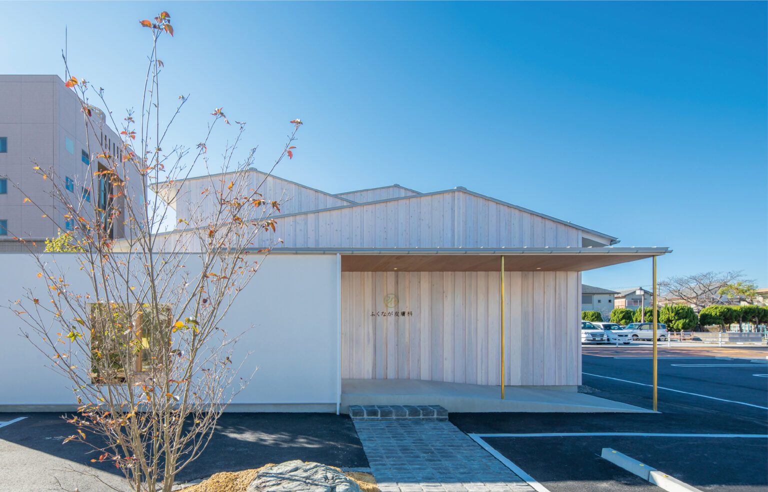 ニキビの治し方は自宅での再現性がカギ！最短3ヶ月での実感を目指す滋賀・ふくなが皮膚科の治療方針とは