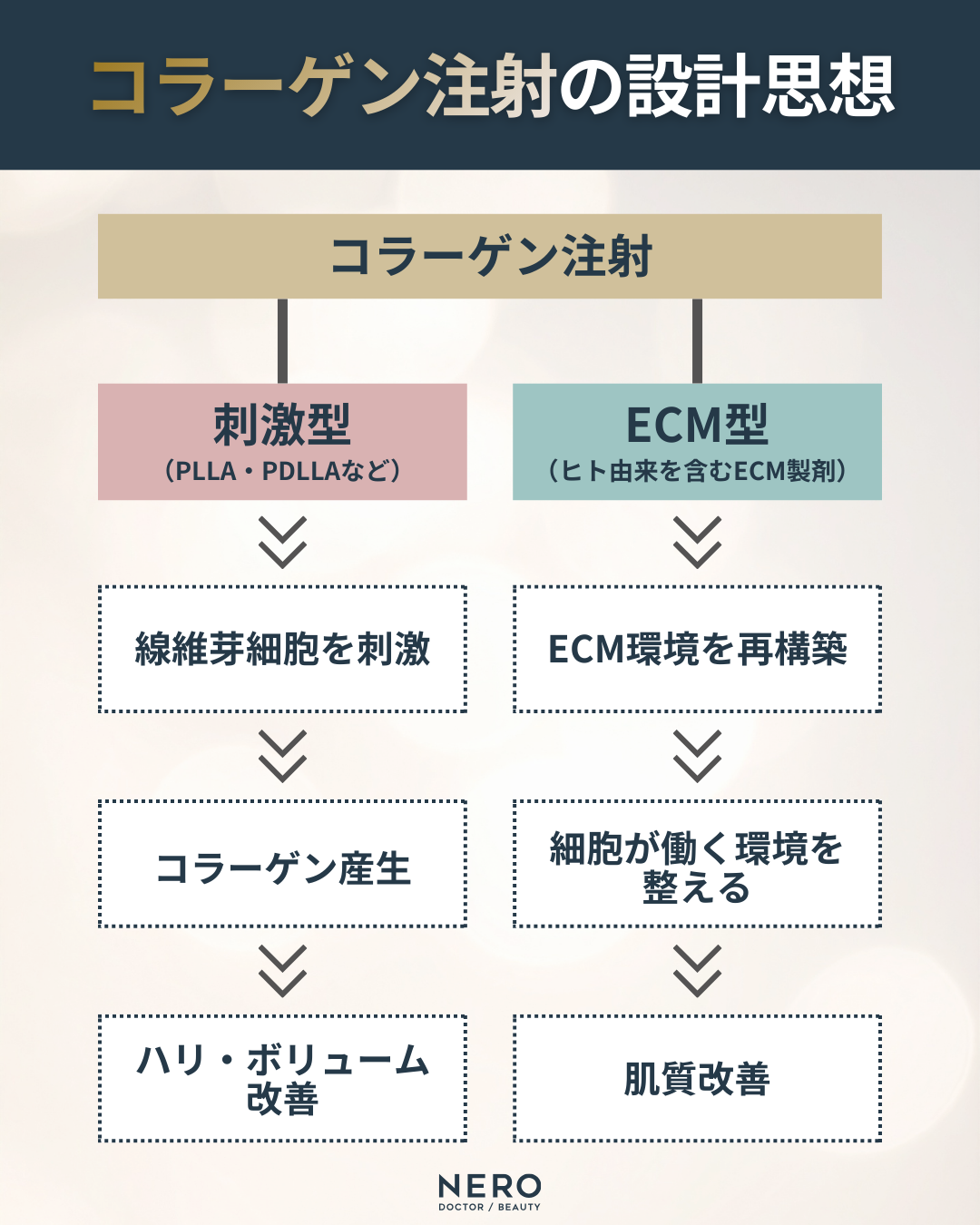 ECM製剤、どう選ぶ？トレンド化する“コラーゲンブースター”を作用機序で読み解く
