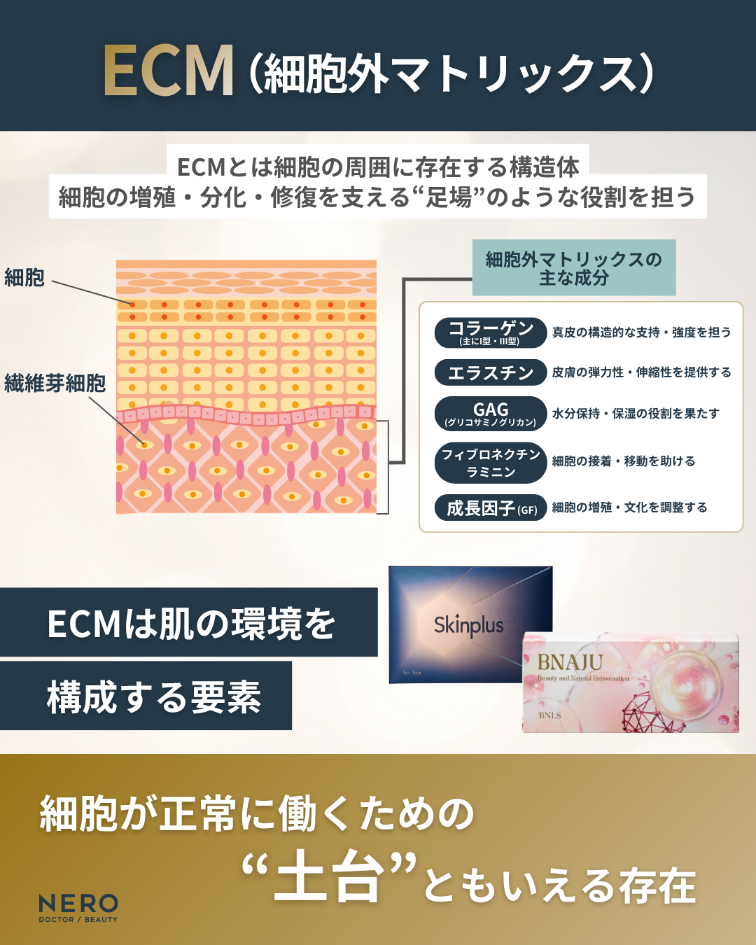 次世代のコラーゲン注射『スキンブースター』はどう選ぶ？最新トレンド“ECM製剤”を作用機序で読み解く