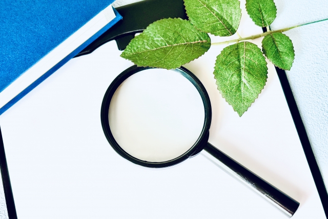 虫眼鏡と葉っぱ プルリアルとは?PN製剤の特徴・適応・他スキンブースターとの違いを整理|NERO DOCTOR / BEAUTY(美容医療)