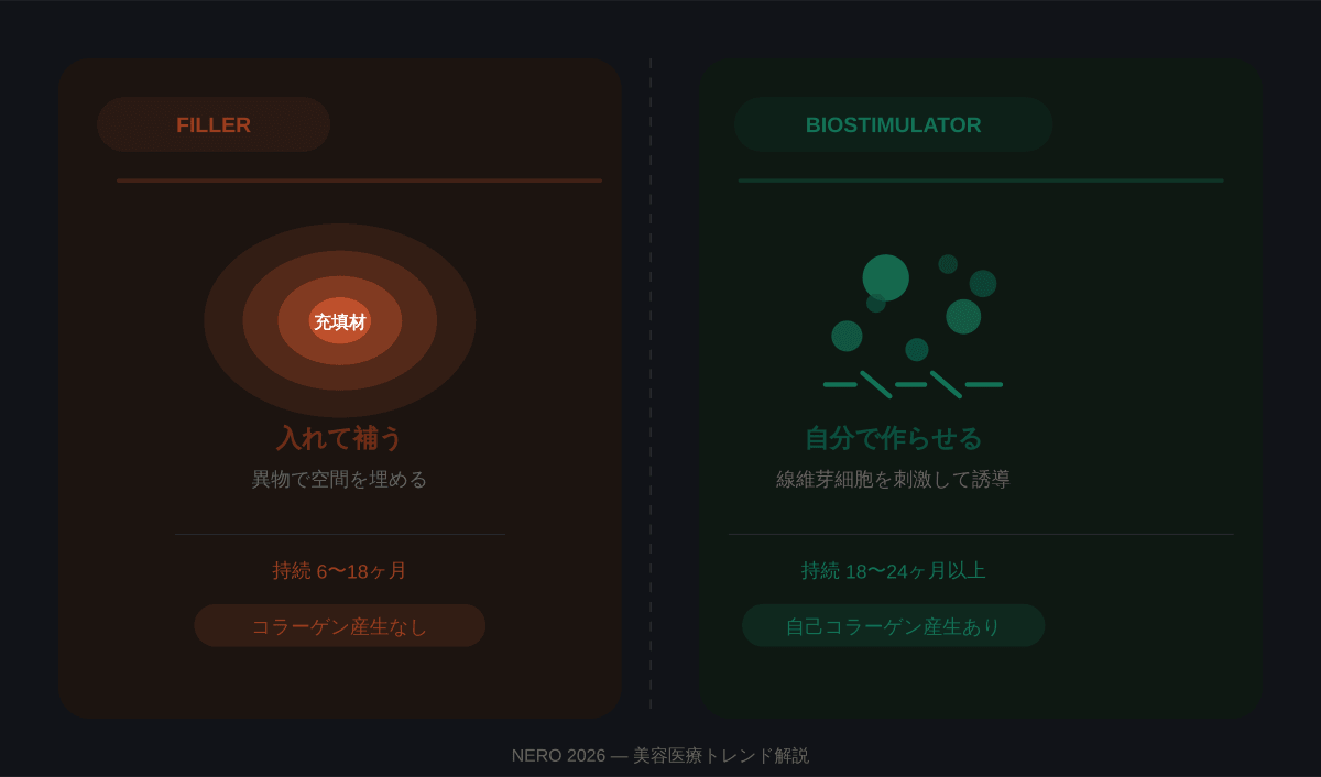 バイオスティミュレーター vs フィラー|コラーゲン誘導の違い 2026年