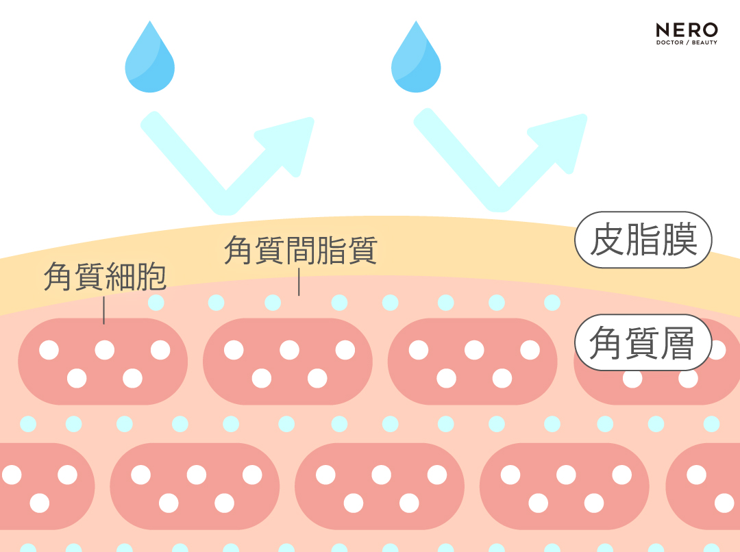 花粉症皮膚炎に負けない肌バリア強化治療とは｜NERO DOCTOR/BEAUTY（美容医療）