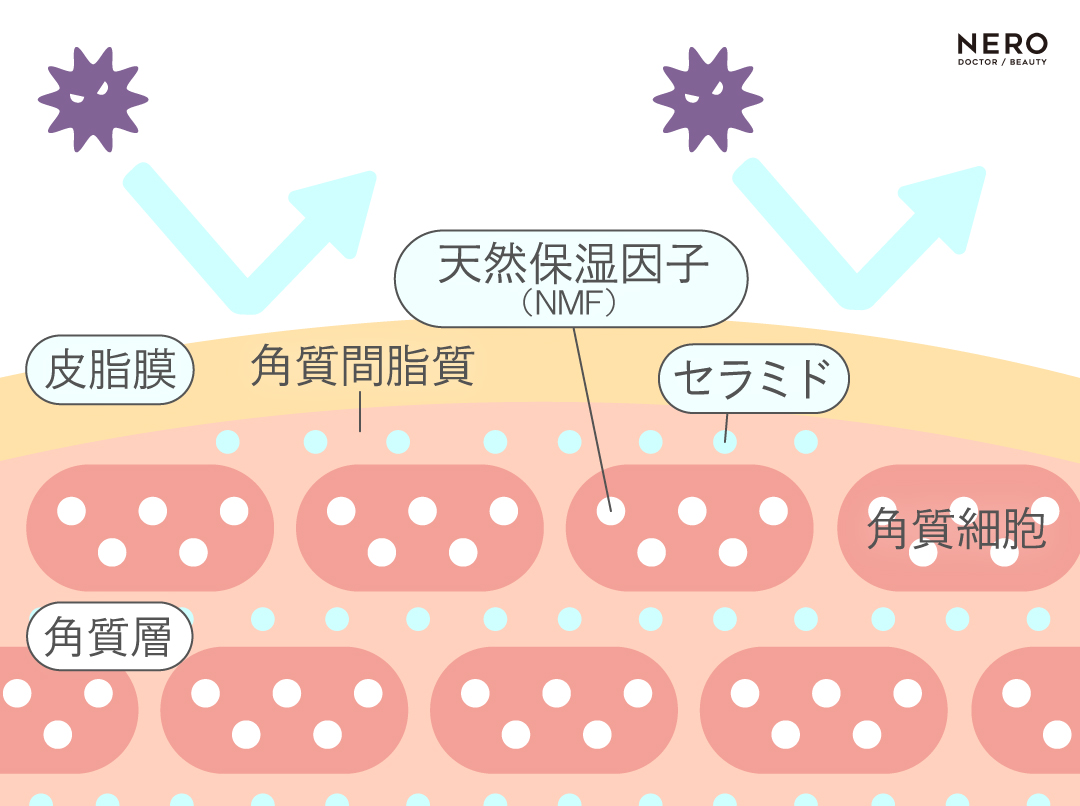 花粉症皮膚炎に負けない肌バリア強化治療とは｜NERO DOCTOR/BEAUTY（美容医療）