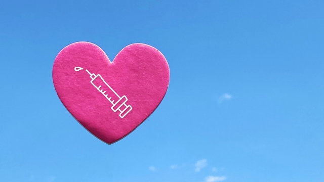 大陰唇ヒアルロン酸とは？リスク・持続期間｜NERO DOCTOR / BEAUTY（美容医療）