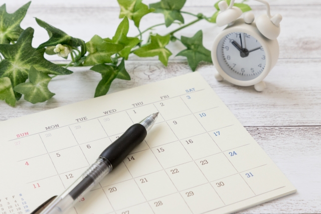 大陰唇縮小とは？適応・ダウンタイム解説｜NERO DOCTOR / BEAUTY（美容医療）