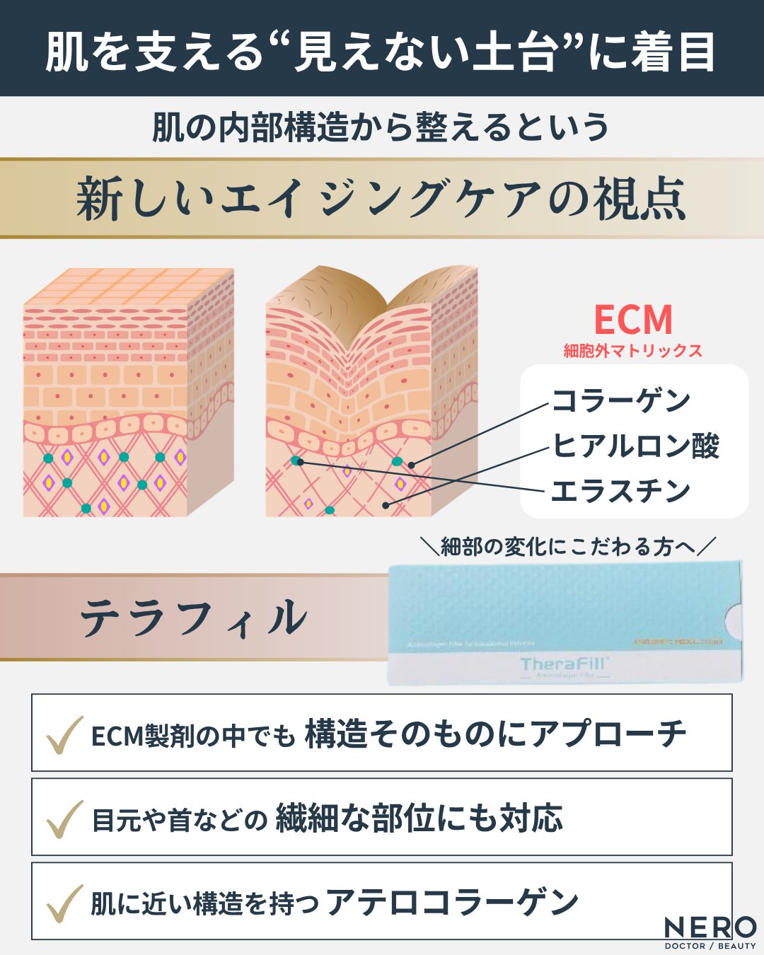 ECM構造の図解。テラフィルは肌内部の構造そのものにアプローチし、繊細な部位にも対応できる