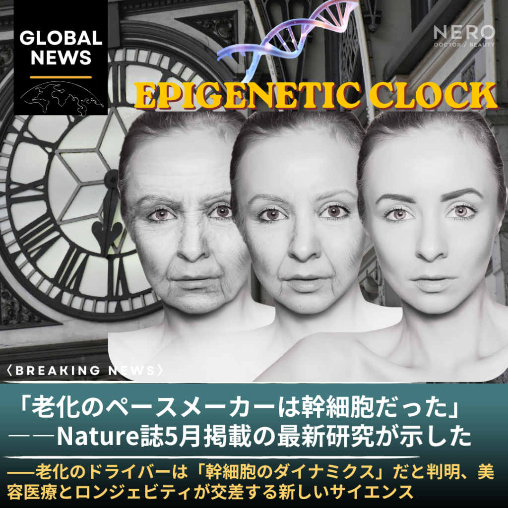 「老化のペースメーカーは幹細胞だった」——Nature誌2026年5月20日掲載の最新研究が示す、美容医療とロンジェビティが交差する新しいサイエンス