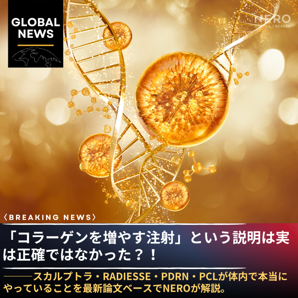 スカルプトラ・RADIESSEは「コラーゲンを注射する薬」ではなかった——2026年6月の最新論文が整理した5種類の「本当の違い」