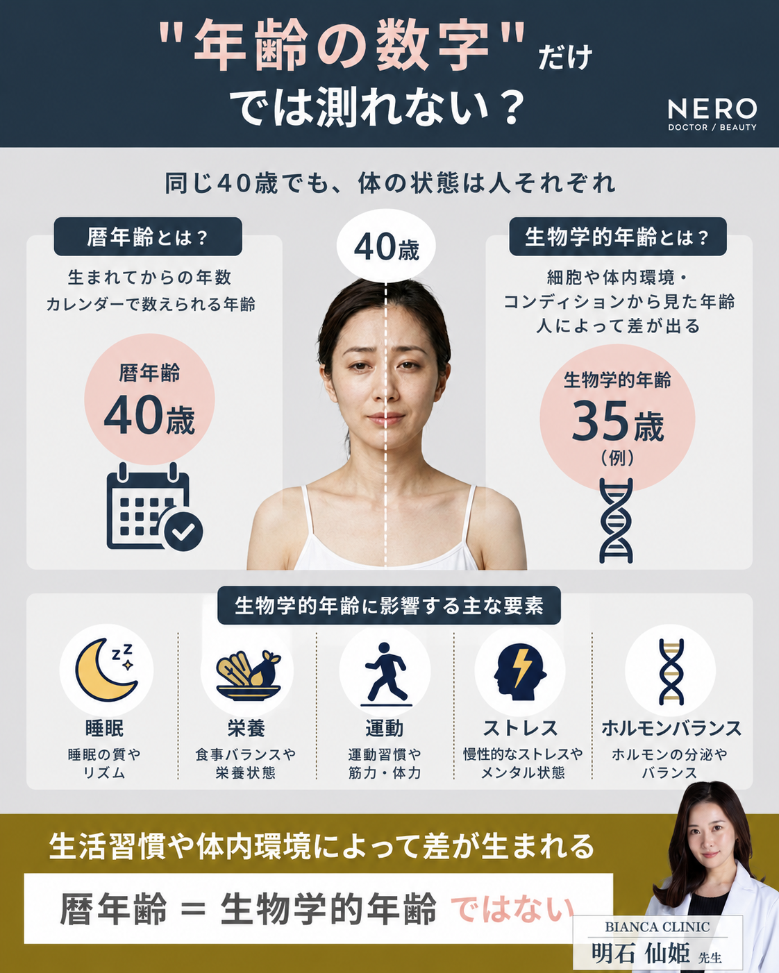 生物学的年齢の解説図。暦年齢とは違い、生活習慣や体内環境により生物学的年齢には差が生まれる。