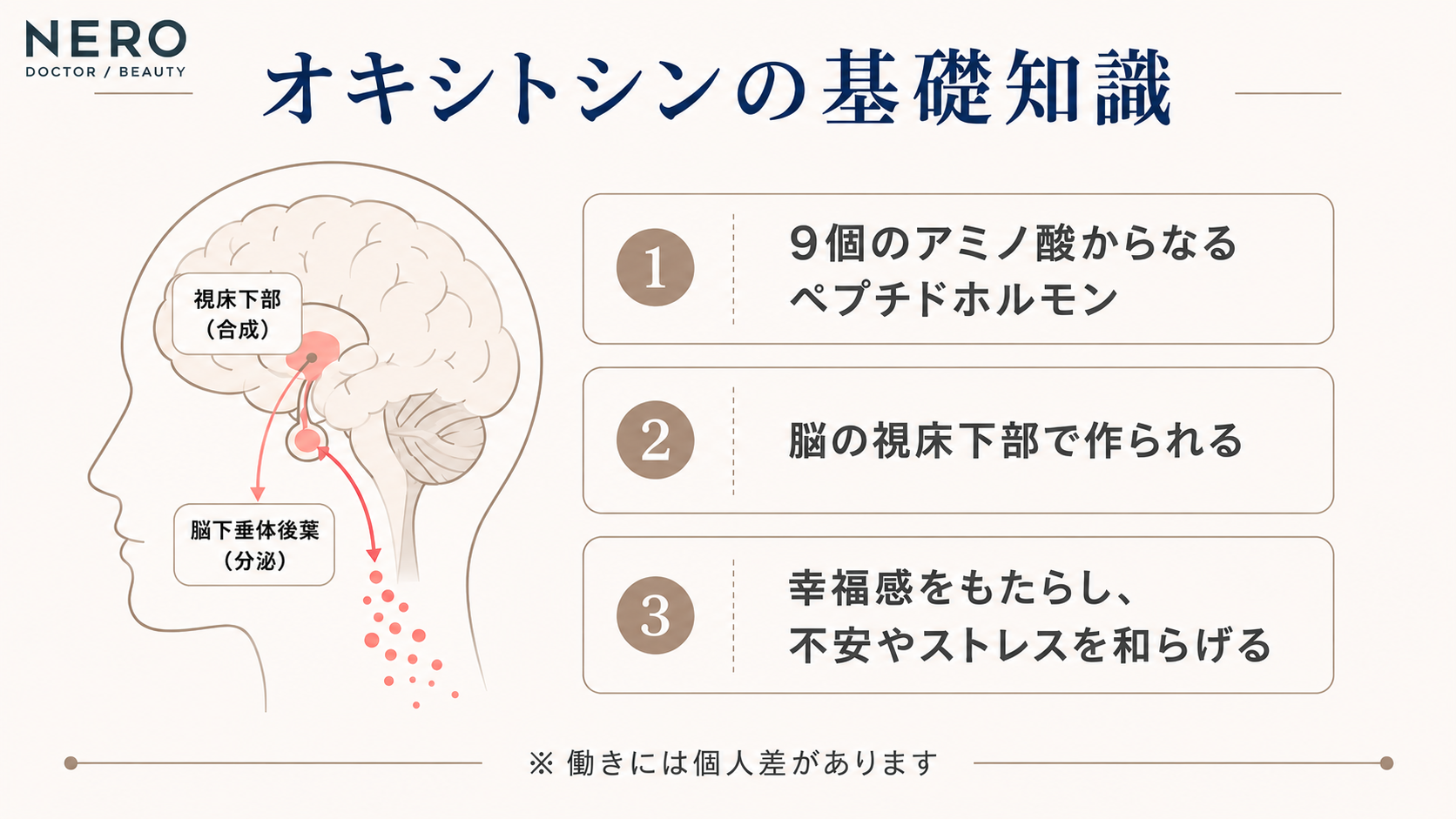 オキシトシンの基礎知識をまとめた図解。9個のアミノ酸から構成され、脳で作られて心身に関与するペプチドホルモンの特徴を解説