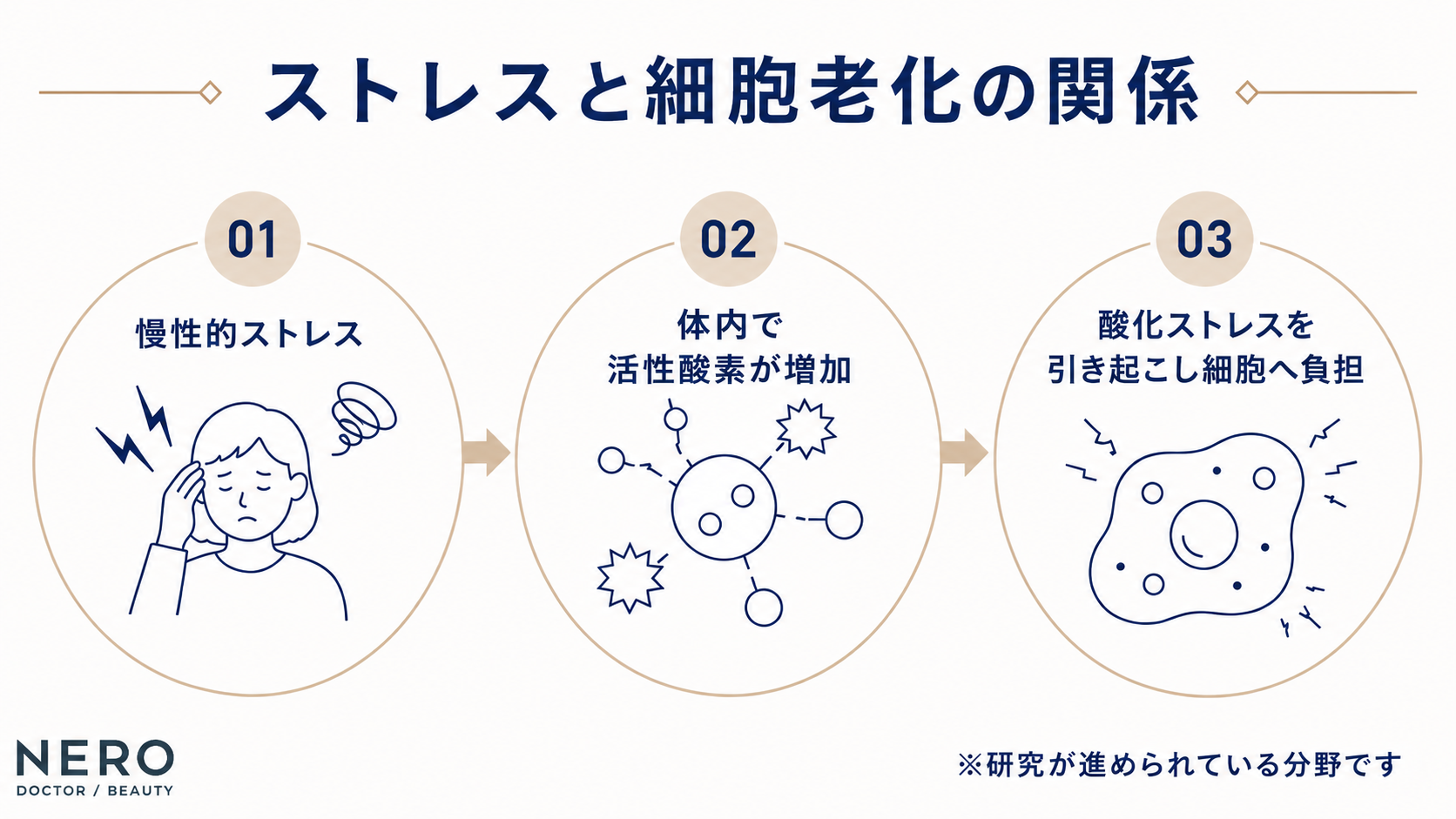 慢性的なストレスは細胞への負担につながり心身のコンディションへ影響する