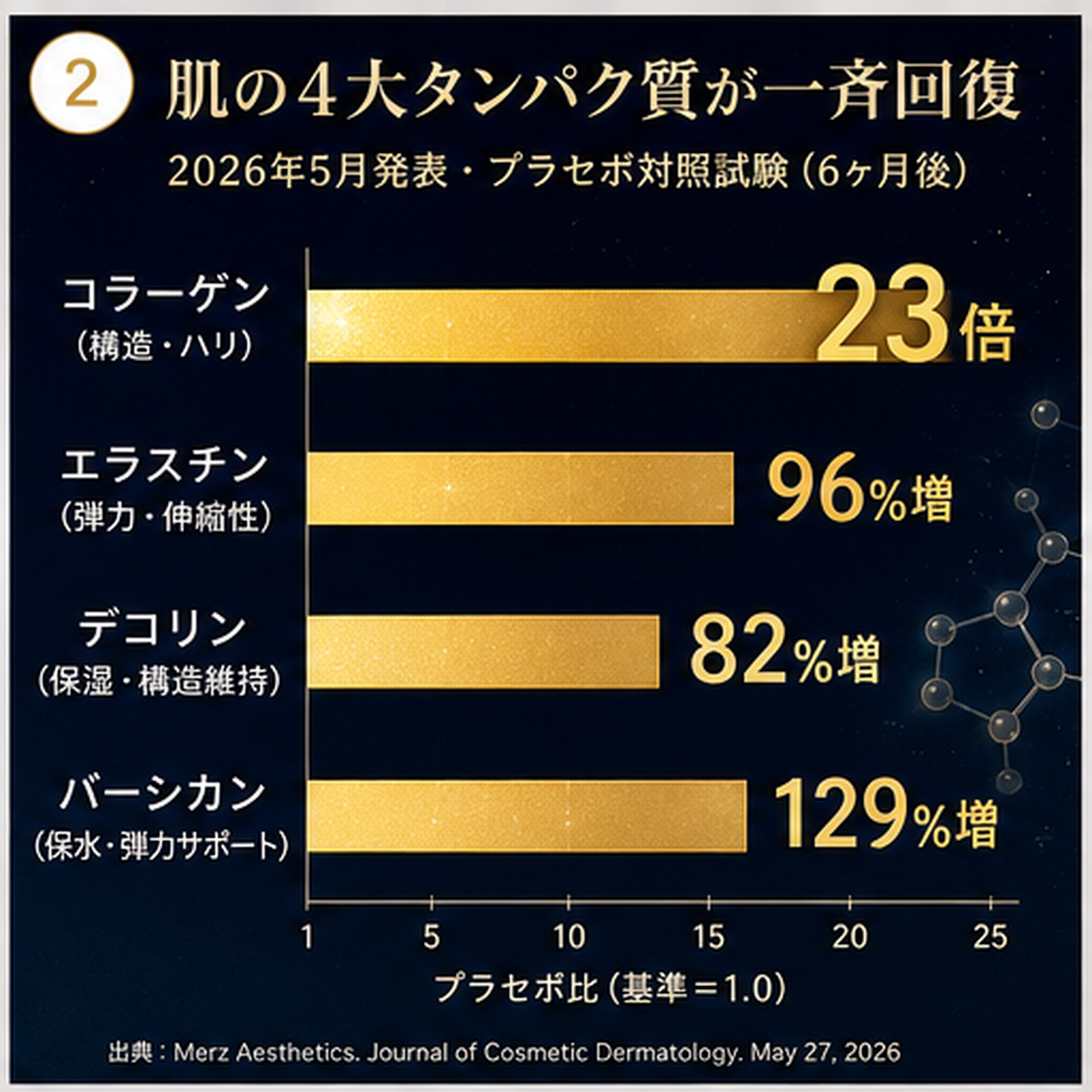 RADIESSEのコラーゲン23倍・エラスチン96%・デコリン82%・バーシカン129%増加を示す横棒グラフ。2026年Journal of Cosmetic Dermatology掲載データ