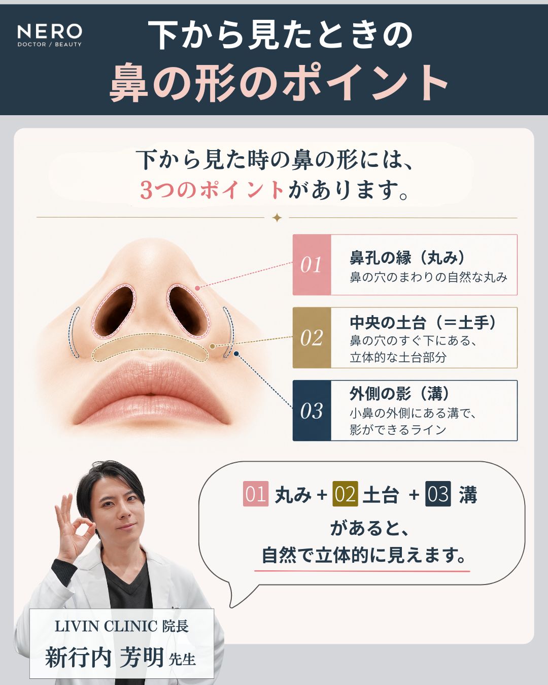 下から見たときの鼻のポイント図解