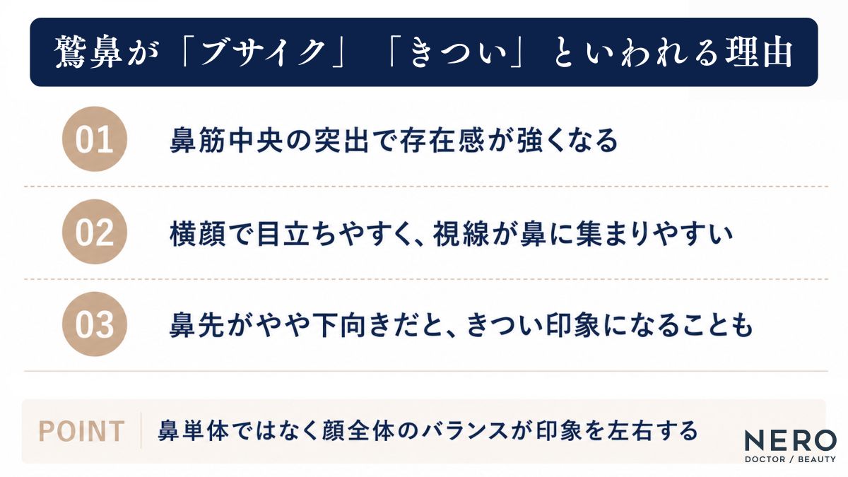 鷲鼻の印象を左右する主なポイントをまとめた図
