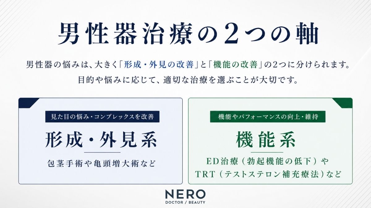 男性器治療の形成系と機能系の違いを整理した図解イラスト