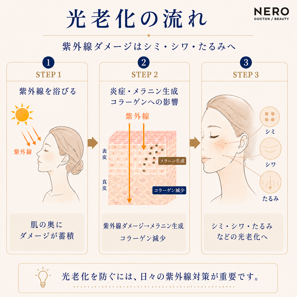光老化の流れのフローチャート