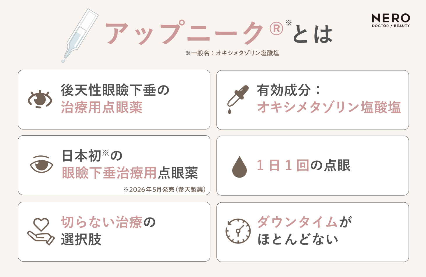 アップニークの特徴や基本情報をまとめた図